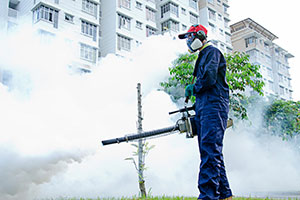 fumigation services