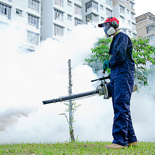 Fumigation Services