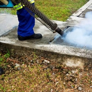 Pest Fumigation Services